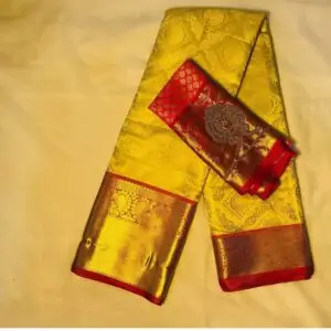 MORNI PATTU SAREE